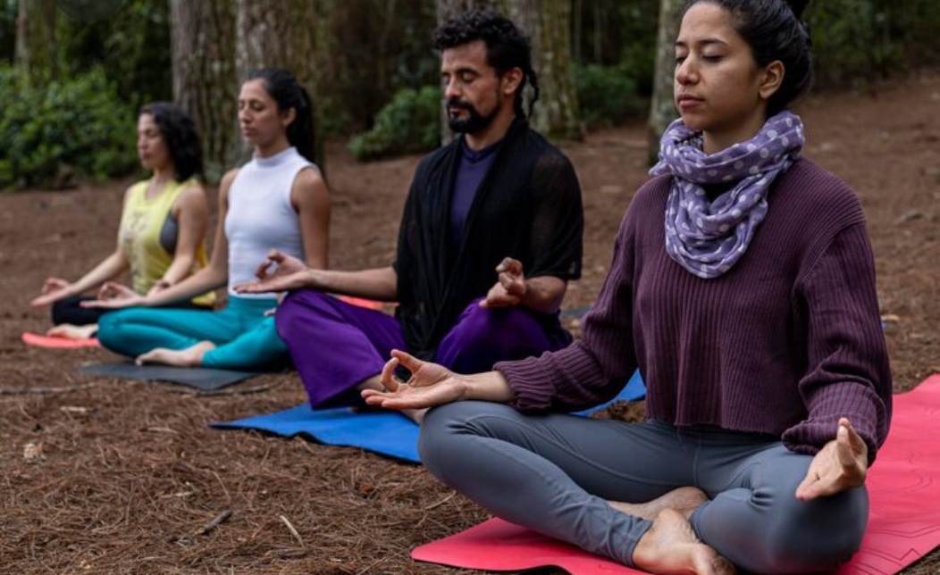 Yoga teacher training in india