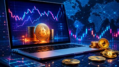 www RobTheCoins .com