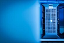 Domain Renewals